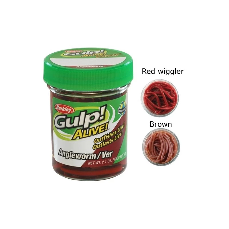 APPAT BERKLEY GULP ALIVE ANGLE WORM - 5CM - PAR 60 3 APPAT BERKLEY GULP ALIVE ANGLE WORM - 5CM - PAR 60