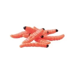 APPAT WATER QUEEN TEIGNE - PAR 15