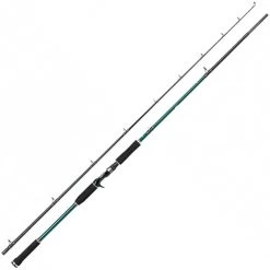 CANNE CASTING ABU GARCIA BEAST X CASTING ROD