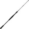 CANNE CASTING BFT RAPTOR G2 JERKBAIT 1 CANNE CASTING BFT RAPTOR G2 JERKBAIT -Magasin De Pêche canne casting bft raptor g2 jerkbait z 2651 265153