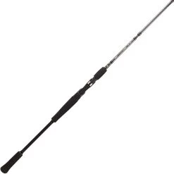 CANNE CASTING BFT RAPTOR G2 JERKBAIT