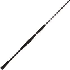 CANNE CASTING BFT RAPTOR G2 SWIMBAIT