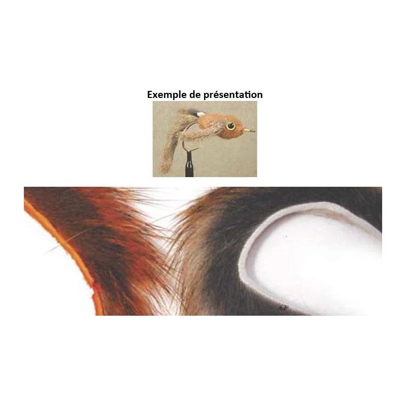 LANIERES D ECUREUIL TOF 3 LANIERES D ECUREUIL TOF