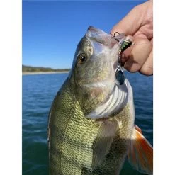 LEURRE COULANT STUCKI FISHING FANATICS METAL SPIN- SCORER - 7G -Magasin De Pêche leurre coulant stucki fishing fanatics metal spin scorer 7g z 2739 273974 3