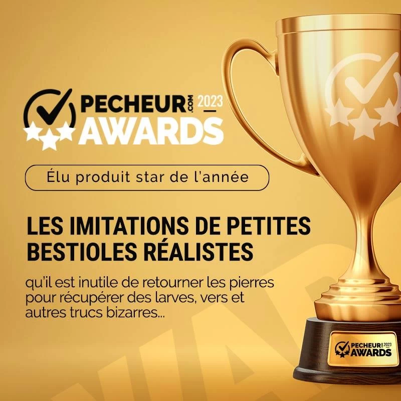 LEURRE SOUPLE FISHUP STONEFLY - 2CM - PAR 12 4 LEURRE SOUPLE FISHUP STONEFLY - 2CM - PAR 12 – Image 2