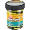 PATE A TRUITE BERKLEY POWERBAIT BIODEGRADABLE TROUTBAIT -Magasin De Pêche pate a truite berkley powerbait biodegradable troutbait z 765 76551