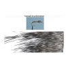 POILS DE PECARY TOF -Magasin De Pêche poils de pecary tof z 1117 111746