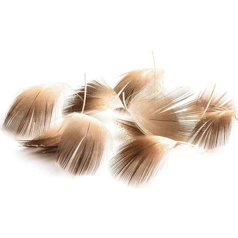 POITRAIL DE COLVERT DEVAUX LUMINI 3 POITRAIL DE COLVERT DEVAUX LUMINI