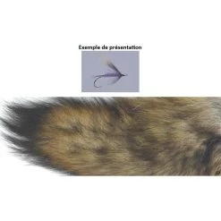 QUEUE DE COYOTTE TOF MORCEAU