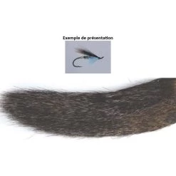 QUEUE DE MARMOTTE TOF COMPLETE